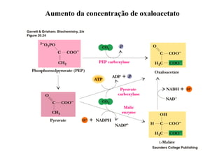 Aumento da concentração de oxaloacetato
 