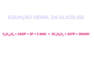 C6H12O6 + 2ADP + 2P + 2 NAD = 2C3H4O3 + 2ATP + 2NADH
EQUAÇÃO GERAL DA GLICÓLISE
 