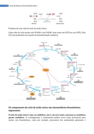 Ciclo de krebs ou ciclo do ácido cítrico | PDF