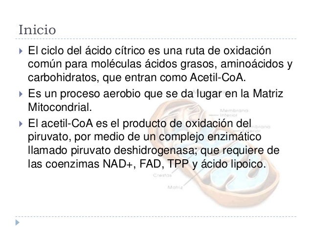 Las máscaras para los cabellos por el estropajo
