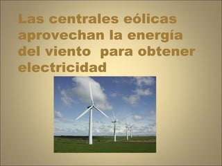 Las centrales eólicas aprovechan la energía del viento  para obtener electricidad 