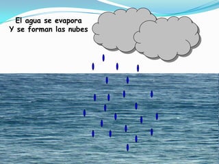 El agua se evaporaY se forman las nubes