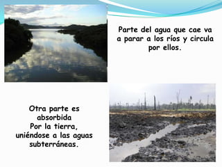 Parte del agua que cae va a parar a los ríos y circula por ellos.Otra parte es absorbida Por la tierra, uniéndose a las aguas subterráneas.