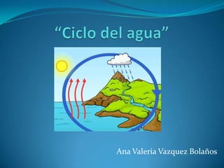 “Ciclo del agua” Ana Valeria Vazquez Bolaños 