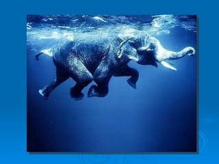 Ciclo del agua