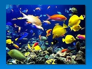Ciclo del agua