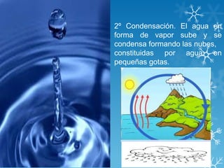 2º Condensación. El agua en
forma de vapor sube y se
condensa formando las nubes,
constituidas por agua en
pequeñas gotas.
 