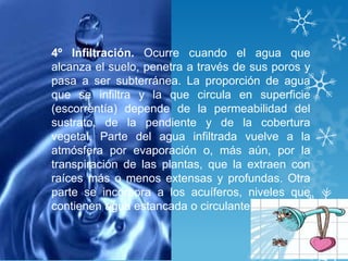 4º Infiltración. Ocurre cuando el agua que
alcanza el suelo, penetra a través de sus poros y
pasa a ser subterránea. La proporción de agua
que se infiltra y la que circula en superficie
(escorrentía) depende de la permeabilidad del
sustrato, de la pendiente y de la cobertura
vegetal. Parte del agua infiltrada vuelve a la
atmósfera por evaporación o, más aún, por la
transpiración de las plantas, que la extraen con
raíces más o menos extensas y profundas. Otra
parte se incorpora a los acuíferos, niveles que
contienen agua estancada o circulante.
 