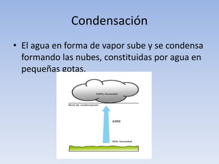 Condensación
• El agua en forma de vapor sube y se condensa
  formando las nubes, constituidas por agua en
  pequeñas gotas.
 