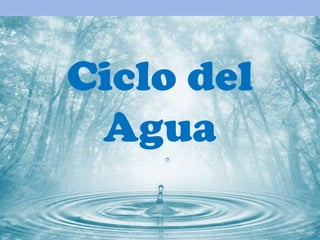 Ciclo del
Agua

 