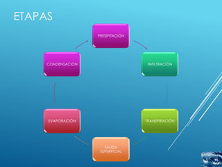 ETAPAS
                    PRESIPITACIÓN




     CONDENSACIÓN                    INFILTRACIÓN




     EVAPORACIÓN                    TRANSPIRACIÓN




                       SALIDA
                     SUPERFICIAL
 
