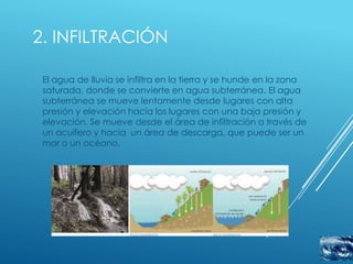 2. INFILTRACIÓN

 El agua de lluvia se infiltra en la tierra y se hunde en la zona
 saturada, donde se convierte en agua subterránea. El agua
 subterránea se mueve lentamente desde lugares con alta
 presión y elevación hacia los lugares con una baja presión y
 elevación. Se mueve desde el área de infiltración a través de
 un acuífero y hacia un área de descarga, que puede ser un
 mar o un océano.
 