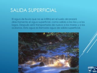 SALIDA SUPERFICIAL
El agua de lluvia que no se infiltra en el suelo alcanzará
directamente el agua superficial, como salida a los ríos y a los
lagos. Después será transportada de nuevo a los mares y a los
océanos. Esta agua es llamada agua de salida superficial.
 