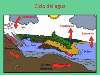 Ciclo del agua




  PROF. SULIO CHACÓN YAURIS
 