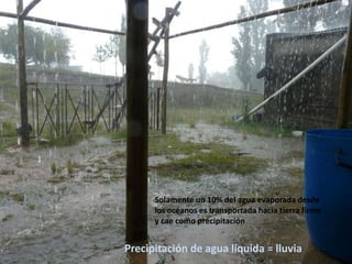 Precipitación de agua líquida = lluvia
Solamente un 10% del agua evaporada desde
los océanos es transportada hacia tierra firme
y cae como precipitación
 