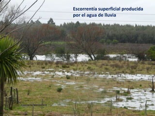 Escorrentía superficial producida
por el agua de lluvia
 