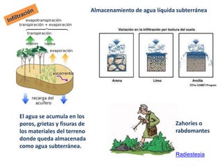 El agua se acumula en los
poros, grietas y fisuras de
los materiales del terreno
donde queda almacenada
como agua subterránea.
Zahoríes o
rabdomantes
Radiestesia
Almacenamiento de agua líquida subterránea
 