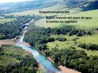 El 10% restante del vapor de agua
lo emiten los vegetales
Evapotranspiración
 