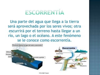 Una parte del agua que llega a la tierra
será aprovechada por los seres vivos; otra
escurrirá por el terreno hasta llegar a un
río, un lago o el océano. A este fenómeno
se le conoce como escorrentía.

 