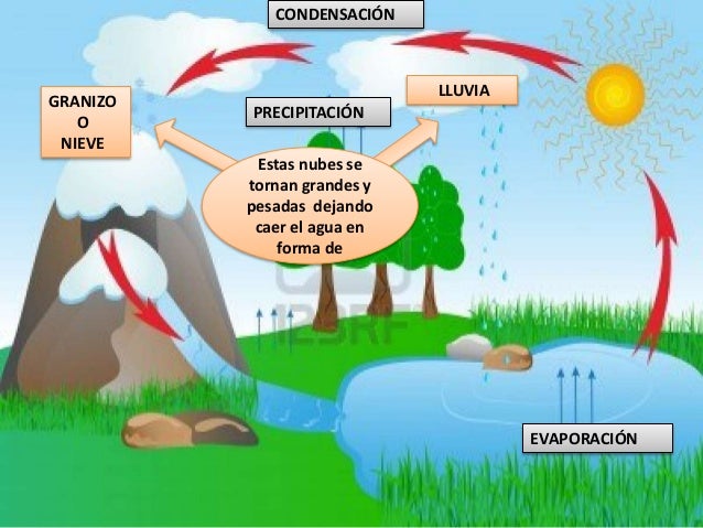 Resultado de imagen para maquetas del ciclo del agua