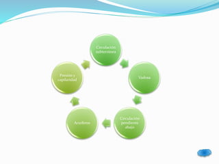 Circulación 
subterránea 
Vadosa 
Circulación 
pendiente 
abajo 
Presión y 
capilaridad 
Acuiferos 
 