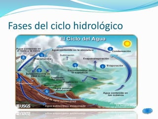 Fases del ciclo hidrológico 
1 
2 
4 
3 
5 
7 
6 
8 
 