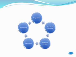 Evaporación 
Superficie 
oceánica 
Superficie 
terrestre 
Sublimación 
Sudoración 
 