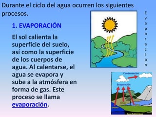 Durante el ciclo del agua ocurren los siguientes
procesos. E
El sol calienta la
superficie del suelo,
así como la superficie
de los cuerpos de
agua. Al calentarse, el
agua se evapora y
sube a la atmósfera en
forma de gas. Este
proceso se llama
evaporación.
v
a
p
o
r
a
c
I
ó
n
1. EVAPORACIÓN