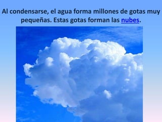 Al condensarse, el agua forma millones de gotas muy
pequeñas. Estas gotas forman las nubes.