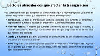 Factores atmosféricos que afectan la transpiración
La cantidad de agua que transpiran las plantas varía según la región geográfica y a través del
tiempo. Hay varios factores que determinan las tasas de transpiración:
• Temperatura. La tasa de transpiración aumenta a medida que aumenta la temperatura,
especialmente durante la estación de crecimiento, cuando el aire es más cálido.
• Humedad relativa. A medida que aumenta la humedad del aire que rodea a la planta, la
tasa de transpiración disminuye. Es más fácil para el agua evaporarse hacia el aire seco
que hacia el aire saturado.
• Viento y movimiento del aire. El aumento en el movimiento del aire que rodea a la planta
provocará una mayor transpiración
• Tipos de planta. Las distintas plantas presentan distintas tasas de transpiración. Algunas
de las plantas que crecen en las zonas áridas, como los cactus, conservan la tan preciada
agua transpirando menos.
 