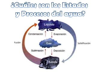 Fusión   Solidificación
 