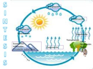 Precipitación




                                               Condensación



    Precipitación
    Solidificación                                  Evaporación

                                           Transpiración
                                                           Orina
Escorrentía                                                Respiración
Infiltración               Evaporación                     Sudor
Circulación subterránea

         Fu
              s
                  i
                      ón
 