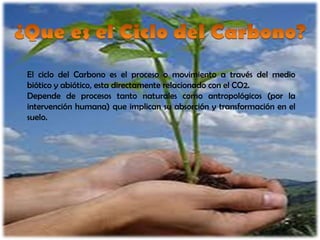 El ciclo del Carbono es el proceso o movimiento a través del medio
biótico y abiótico, esta directamente relacionado con el CO2.
Depende de procesos tanto naturales como antropológicos (por la
intervención humana) que implican su absorción y transformación en el
suelo.
 