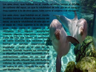 Los seres vivos que habitan en el medio acuático toman el dióxido
de carbono del agua, ya que la solubilidad de este gas en el agua es
muy superior a la de otros gases, tales como el oxígeno o el nitrógeno.
Los seres vivos que habitan en el medio
acuático toman el dióxido de carbono del
agua, ya que la solubilidad de este gas en
el agua es muy superior a la de otros
gases, tales como el oxígeno o el
nitrógeno. En algunos ecosistemas
marinos algunos organismos convierten
parte del CO2 que toman, en carbonato
de calcio (CaCO3) que necesitan para
formar sus conchas, caparazones o
esqueletos , como en el caso de los
arrecifes. Cuando mueren, sus estructuras
se depositan en el fondo formando rocas
sedimentarias calizas en las que el
carbono queda retirado del ciclo durante
millones de años, regresando lentamente
de nuevo al ciclo, cuando las rocas se
van disolviendo.
 