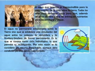 El agua que tenemos es imprescindible para la
                           continuación de la vida sobre la tierra. Todos los
                           seres vivos necesitan agua para vivir, además
                           de otros alimentos que les entreguen nutrientes
                           para desarrollarse y crecer.


El agua no permanece estacionaria sobre la
Tierra sino que se establece una circulación del
agua entre los océanos, la atmósfera y la
litosfera-biosfera de forma permanente. Es lo
que se conoce como ciclo hidrológico, lo que
permite su reutilización. Por esta razón se la
considera un recurso inagotable, aunque esta
condición ya está siendo cuestionada.
 