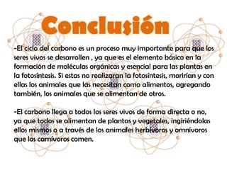 -El ciclo del carbono es un proceso muy importante para que los
seres vivos se desarrollen , ya que es el elemento básico en la
formación de moléculas orgánicas y esencial para las plantas en
la fotosíntesis. Si estas no realizaran la fotosíntesis, morirían y con
ellas los animales que las necesitan como alimentos, agregando
también, los animales que se alimentan de otros.

-El carbono llega a todos los seres vivos de forma directa o no,
ya que todos se alimentan de plantas y vegetales, ingiriéndolas
ellos mismos o a través de los animales herbívoros y omnívoros
que los carnívoros comen.
 