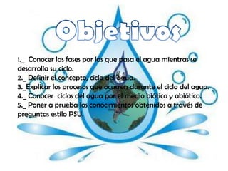 1._ Conocer las fases por las que pasa el agua mientras se
desarrolla su ciclo.
2._ Definir el concepto, ciclo del agua.
3._Explicar los procesos que ocurren durante el ciclo del agua.
4._ Conocer ciclos del agua por el medio biótico y abiótico.
5._ Poner a prueba los conocimientos obtenidos a través de
preguntas estilo PSU.
 