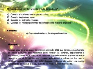 12._ ¿Cuándo se ve interrumpido el ciclo del carbono?

a)   Cuando el carbono forma piedra caliza
b)   Cuando la planta muere
c)   Cuando los animales mueren
d)   Cuando los microorganismos descomponen la materia orgánica


Correcta:
                    a) Cuando el carbono forma piedra caliza



¿Por qué?

Porque algunos organismos convierten parte del CO2 que toman, en carbonato
de calcio (CaCO3) que necesitan para formar sus conchas, caparazones o
esqueletos , como en el caso de los arrecifes. Cuando mueren, sus estructuras se
depositan en el fondo formando rocas sedimentarias calizas en las que el
carbono queda retirado del ciclo durante millones de años, regresando
lentamente de nuevo al ciclo, cuando las rocas se van disolviendo.
 