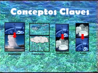 Evaporación   Precipitación   Solidificación   Fusión
 