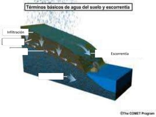 Infiltración




               Escorrentía
 