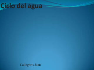 Callegaris Juan
 