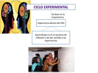 Experiencia dentro del PEA
Se basa en la
importancia
Aprendizaje es el un proceso de
reflexión y de dar sentido a las
experiencias
 
