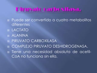  Puede ser convertido a cuatro metabolitos
diferentes
 LACTATO
 ALANINA
 PIRUVATO CARBOXILASA
 COMPLEJO PIRUVATO DESHIDROGENASA.
 Tiene una necesidad absoluta de acetil-
CoA no funciona sin ella.
 