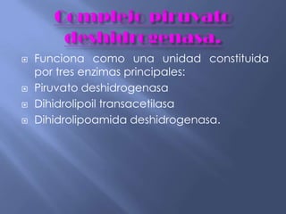  Funciona como una unidad constituida
por tres enzimas principales:
 Piruvato deshidrogenasa
 Dihidrolipoil transacetilasa
 Dihidrolipoamida deshidrogenasa.
 