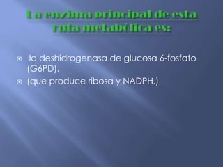  la deshidrogenasa de glucosa 6-fosfato
(G6PD).
 (que produce ribosa y NADPH.)
 