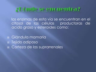 las enzimas de esta vía se encuentran en el
citosol de las células productoras de
acido graso y esteroides como:
 Glándula mamaria
 Tejido adiposo
 Corteza de las suprarrenales
 