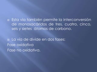  Esta vía también permite la interconversión
de monosacáridos de tres, cuatro, cinco,
seis y sietes átomos de carbono.
 La vía de divide en dos fases:
Fase oxidativa
Fase no oxidativa.
 