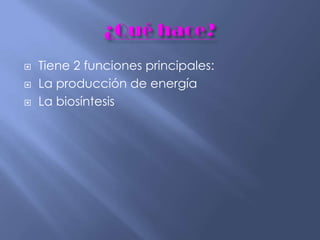  Tiene 2 funciones principales:
 La producción de energía
 La biosíntesis
 