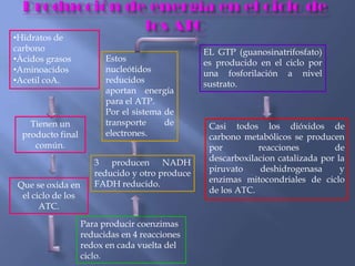 •Hidratos de
carbono
•Ácidos grasos
•Aminoacidos
•Acetil coA.
Tienen un
producto final
común.
Que se oxida en
el ciclo de los
ATC.
Para producir coenzimas
reducidas en 4 reacciones
redox en cada vuelta del
ciclo.
Estos
nucleótidos
reducidos
aportan energía
para el ATP.
Por el sistema de
transporte de
electrones.
EL GTP (guanosinatrifosfato)
es producido en el ciclo por
una fosforilación a nivel
sustrato.
Casi todos los dióxidos de
carbono metabólicos se producen
por reacciones de
descarboxilacion catalizada por la
piruvato deshidrogenasa y
enzimas mitocondriales de ciclo
de los ATC.
3 producen NADH
reducido y otro produce
FADH reducido.
 