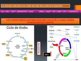 La reacción neta para una vuelta del ciclo de la urea es la siguiente:
CO2 + NH4+ + 3ATP + ASPARTATO + 2H2O

UREA + 2ADP + 2PI + AMP + PPI + FUMARATO.

LOS TRANSTORNOS METABOLICOS DEL CICLO DE LA UREA TIENEN
CONSECUENCIAS GRAVES

SECUESTRA

NH3

 